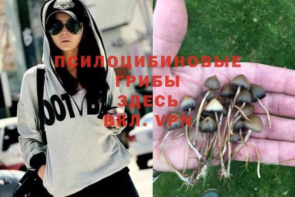 круглые Аркадак