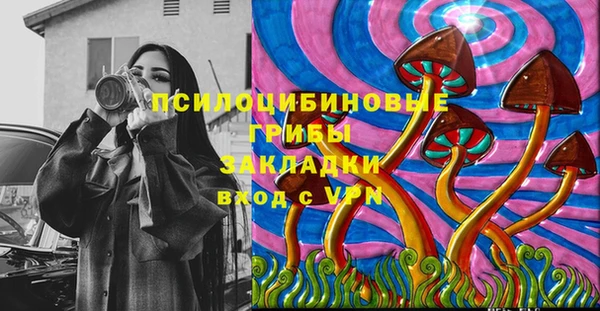ECSTASY Осинники
